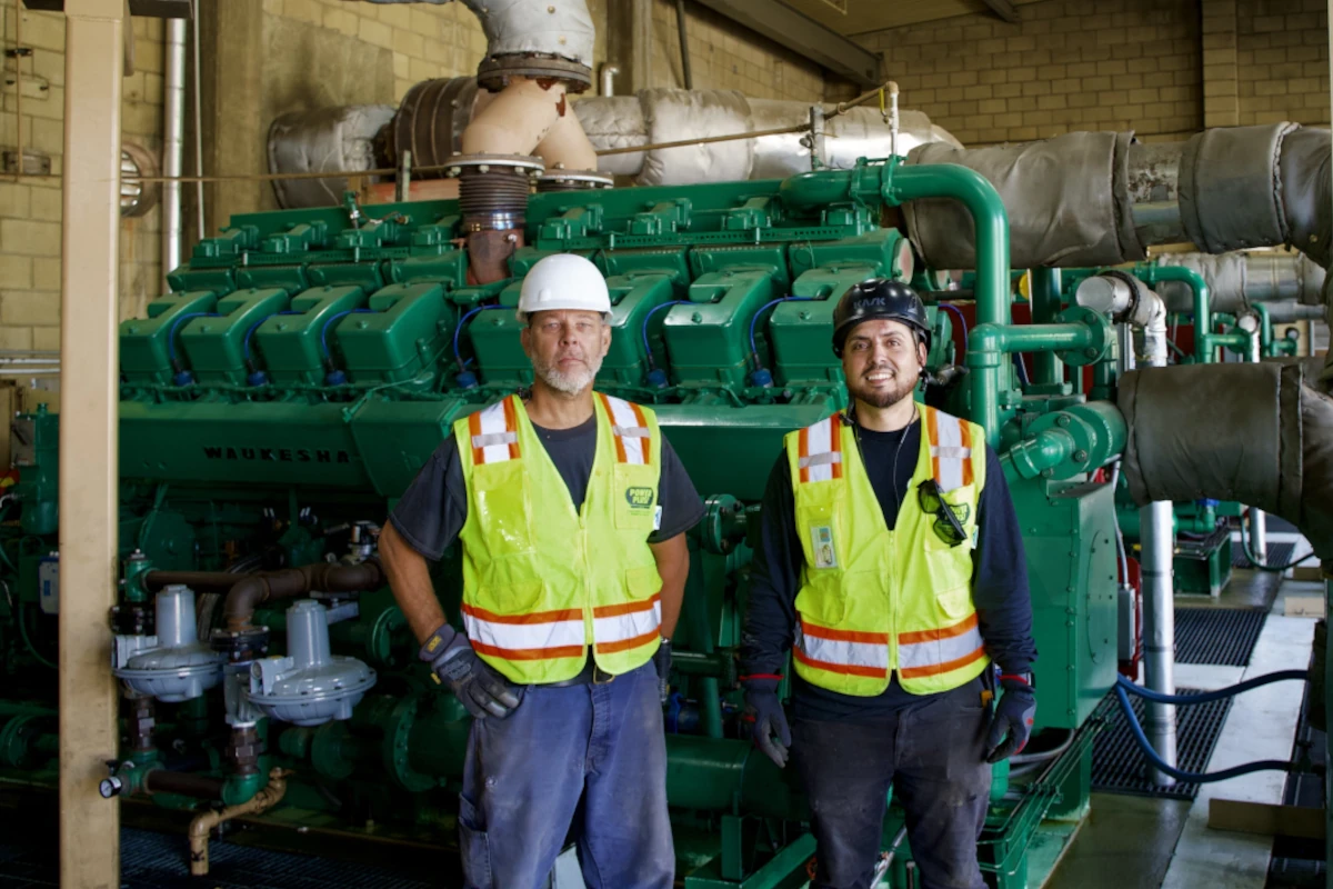 Power Plus Employees In Action